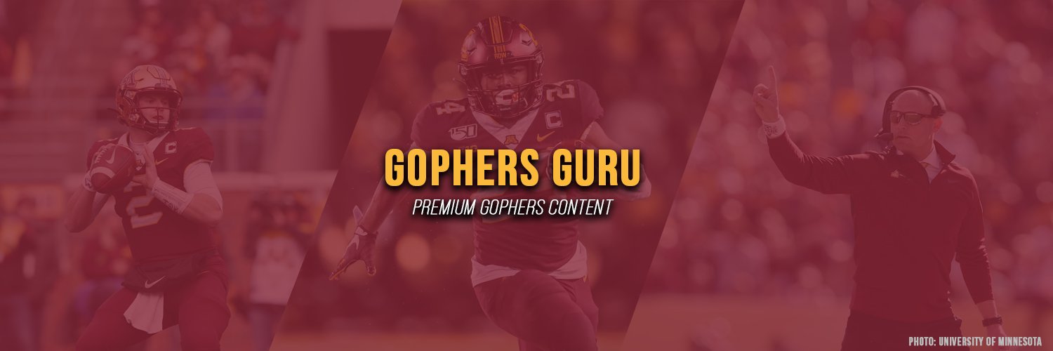 Gophers Guru's banner
