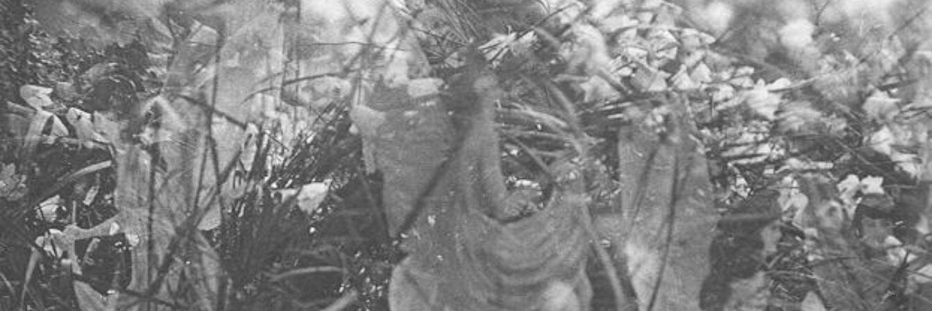 krisandchips's profile banner image