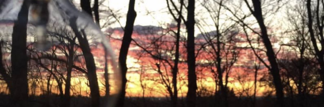 dontwakeava's profile banner image