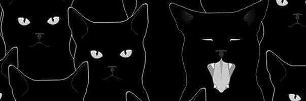 GGloriare's profile banner image