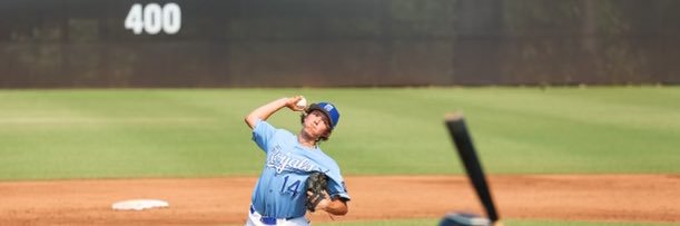 Bridger Hamilton banner