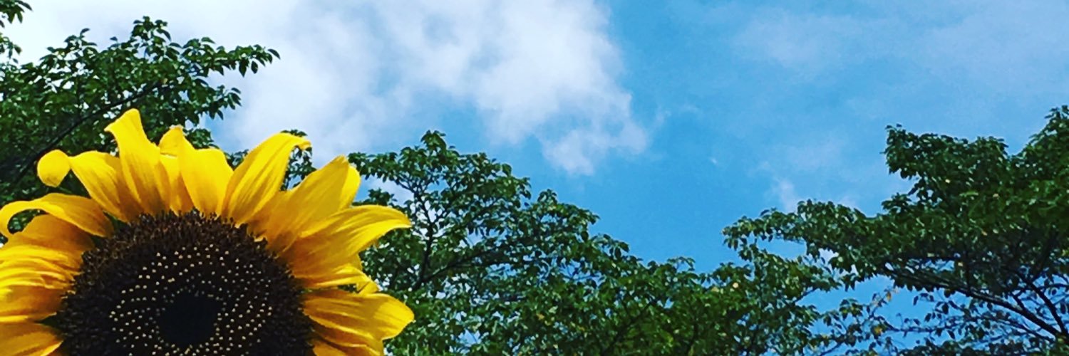 az_yume's profile banner image