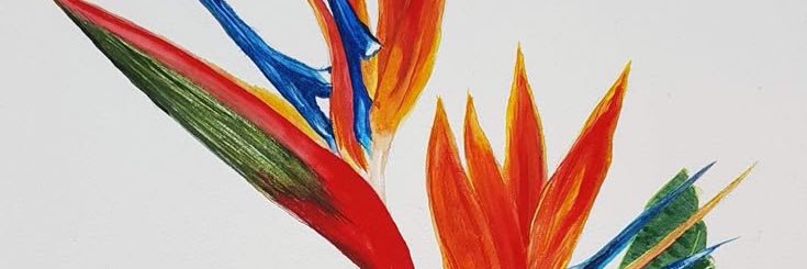 RITALOCATELLI's profile banner image