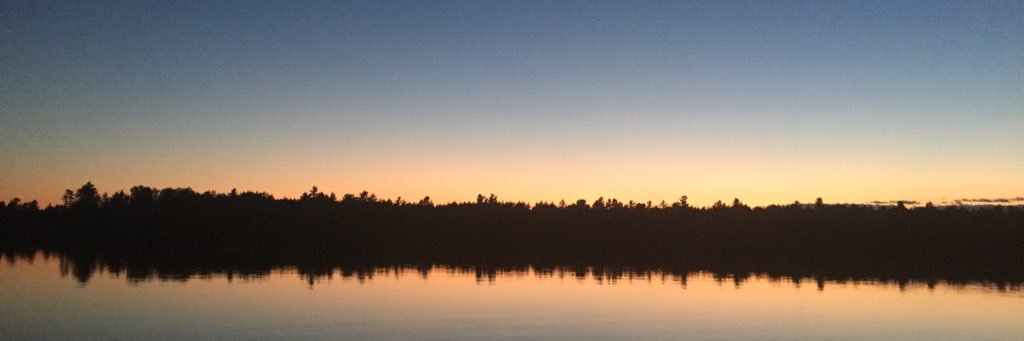 KimMortimer's profile banner image