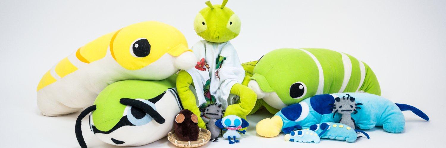 ひもとかげ's banner