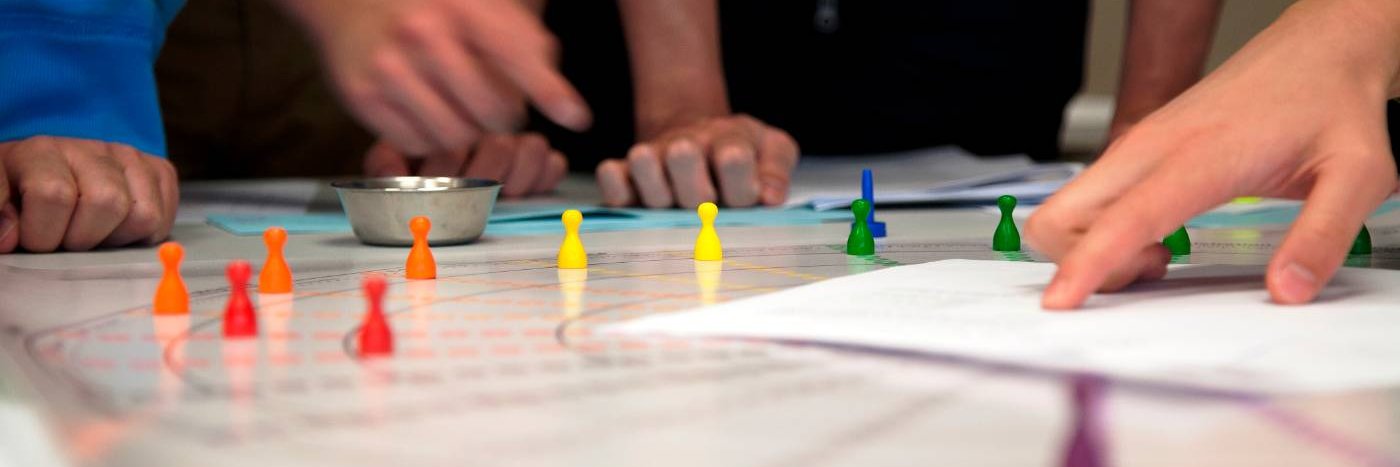 Prof. Dr. Willy Kriz banner