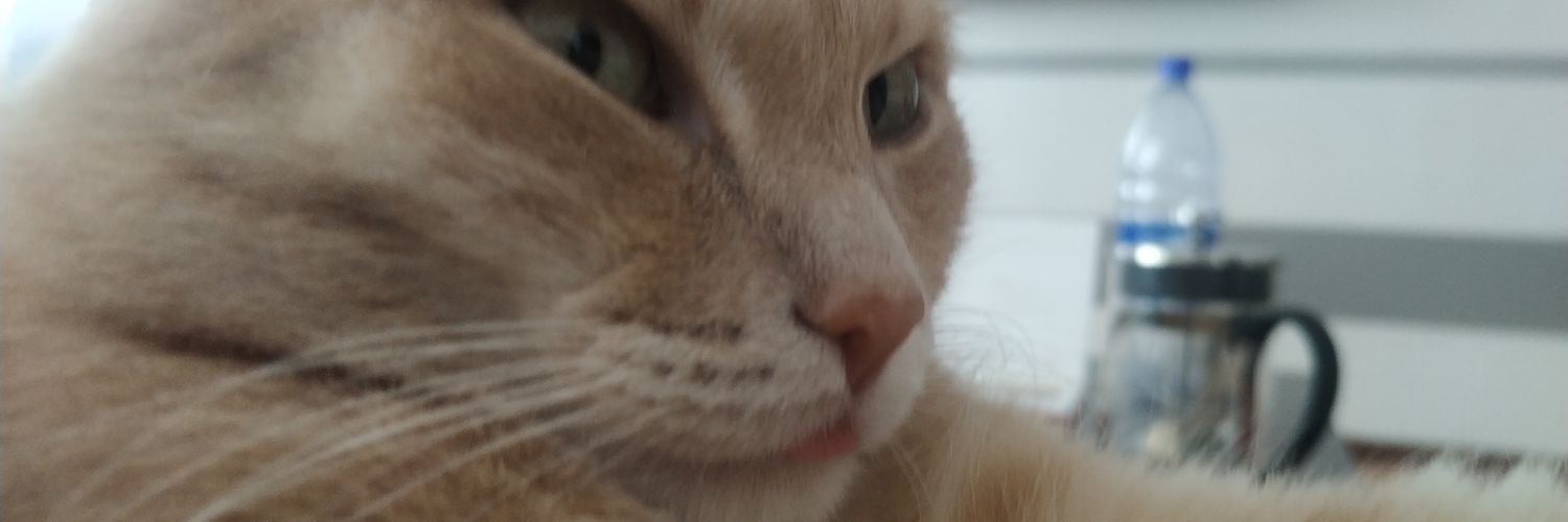F1DEL1TY's profile banner image