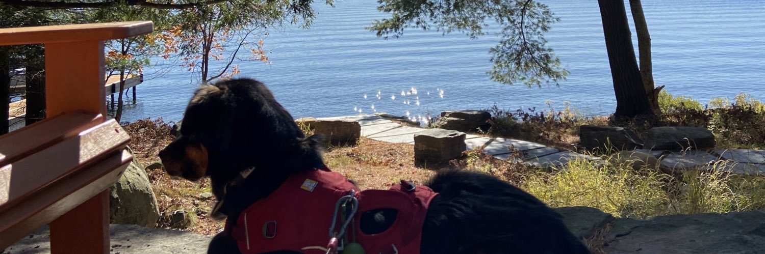 Katie Cardiff banner