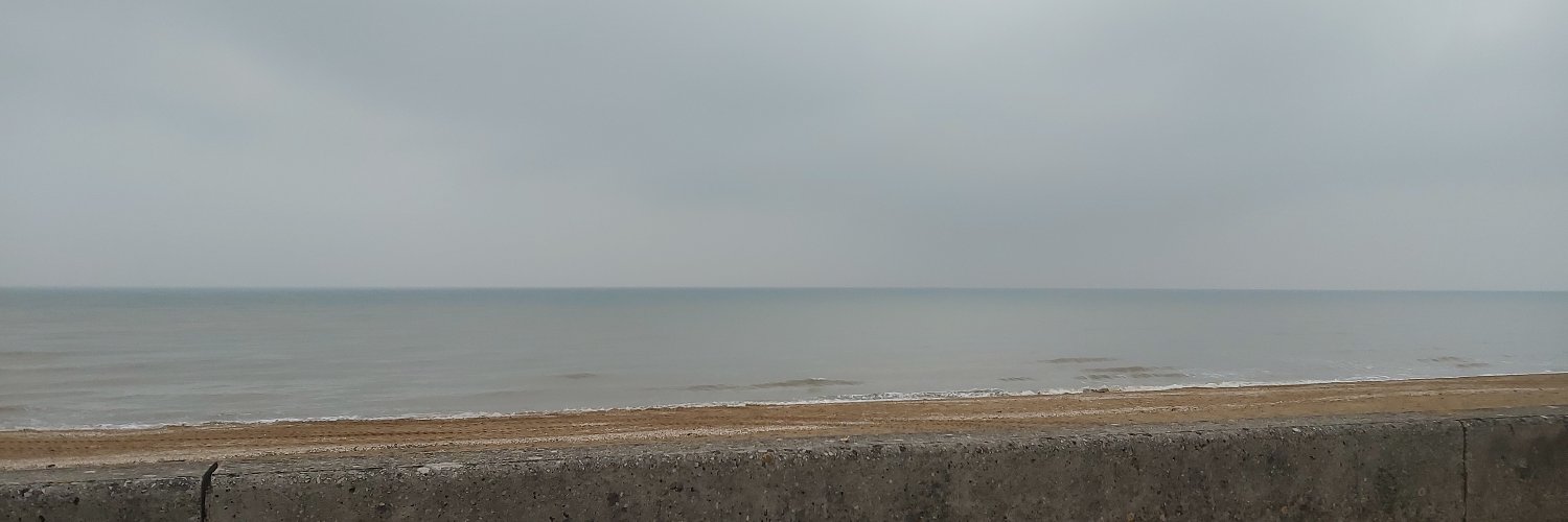 Inès banner