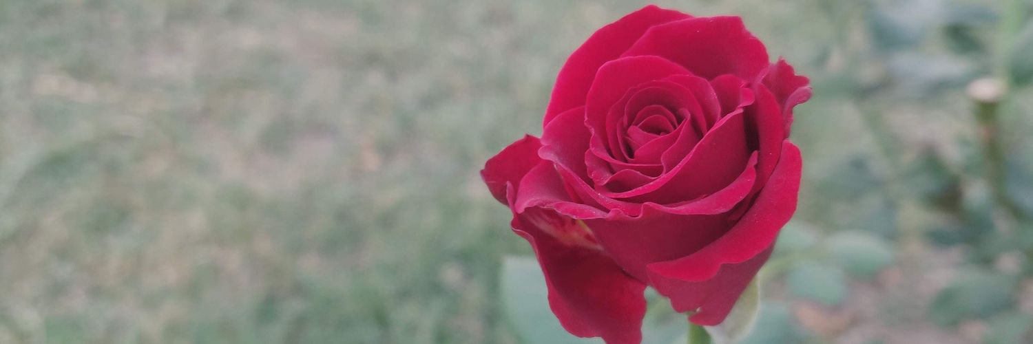 MukeKhan's profile banner image