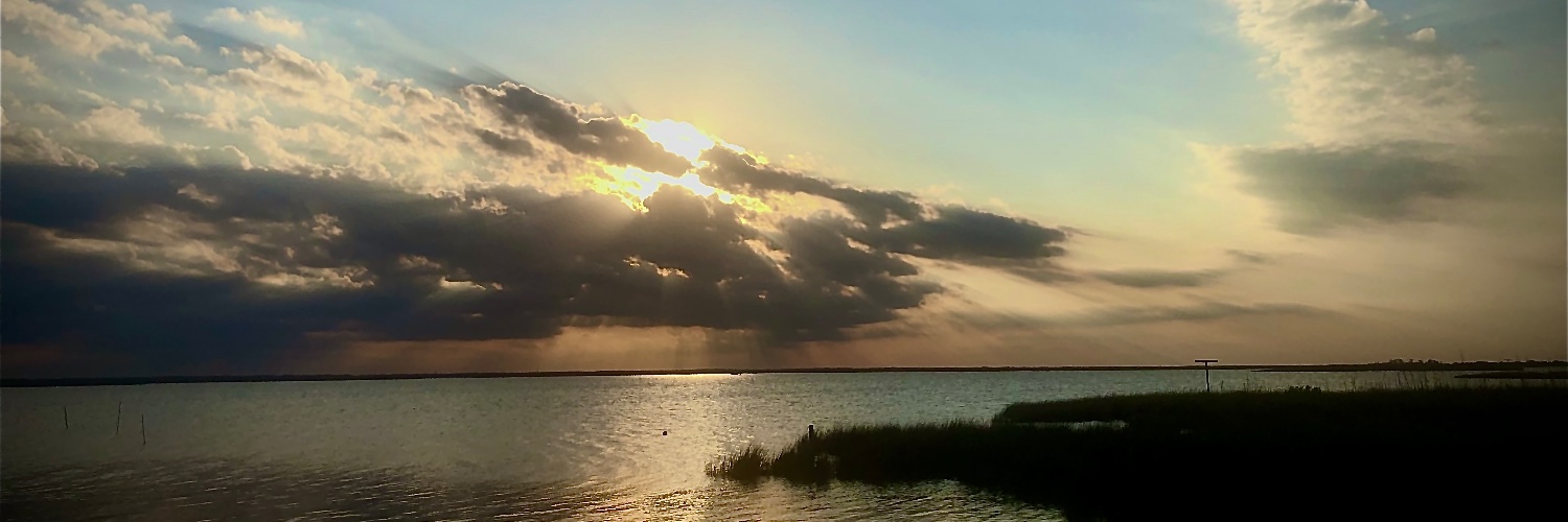 KevinRossDavidson banner