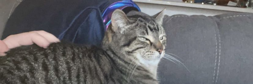 olimariew's profile banner image