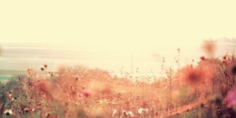 paucpr's profile banner image