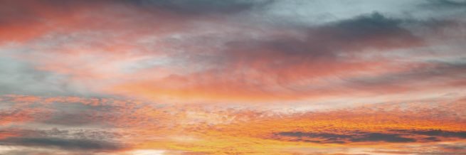 narapalacios_'s profile banner image
