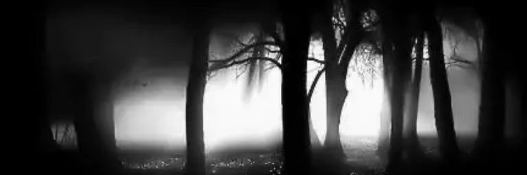 Iisorx's profile banner image