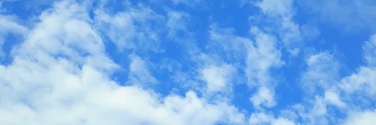 IsabelleLedebu2's profile banner image