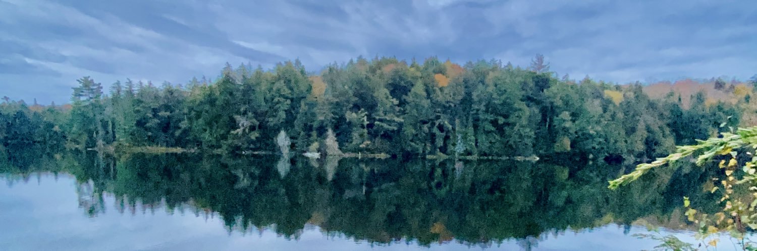 Dennis Wright banner