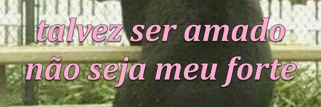 FerrazVenus2002's profile banner image