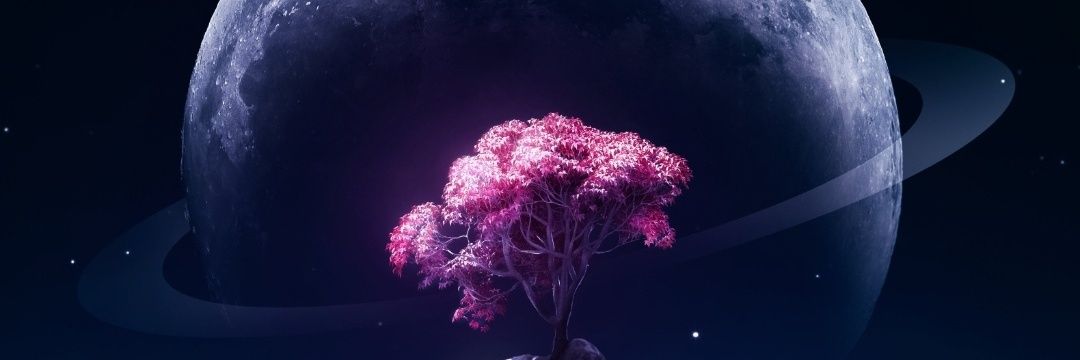Knacks banner