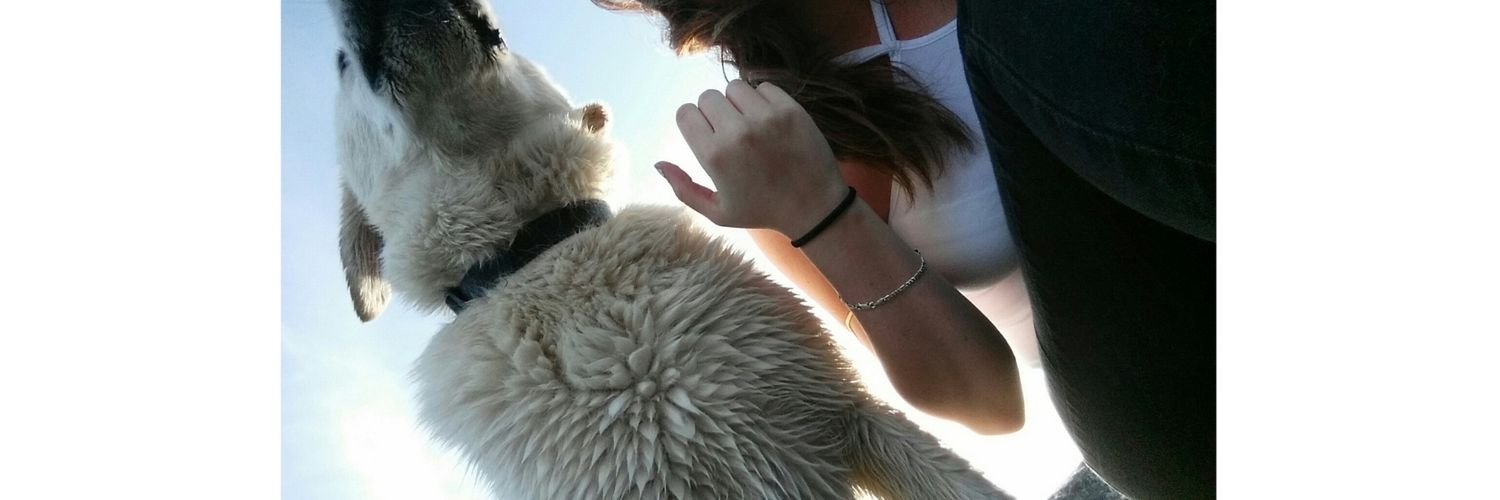 Niamhh_C's profile banner image
