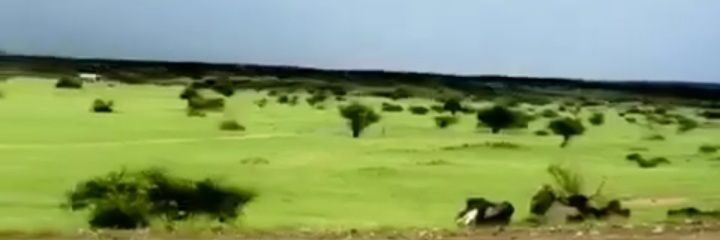 mrali857's profile banner image