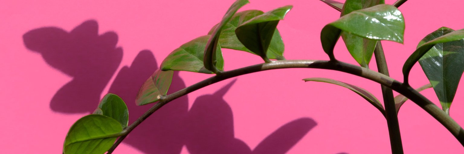 CecileTouret's profile banner image