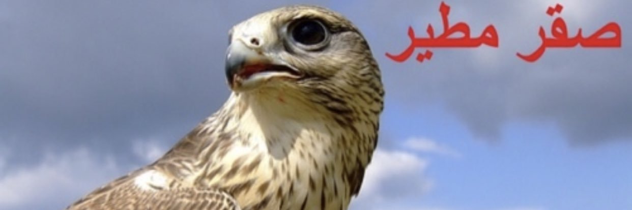 شاعر بريه banner
