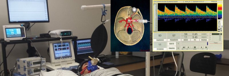 UTA Brothers Integrative Vascular Physiology Lab banner