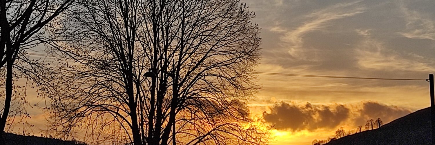EnyaRodd's profile banner image