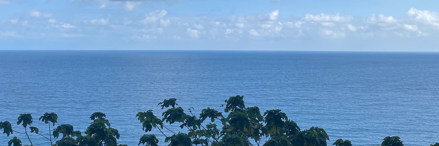 lawangold's profile banner image