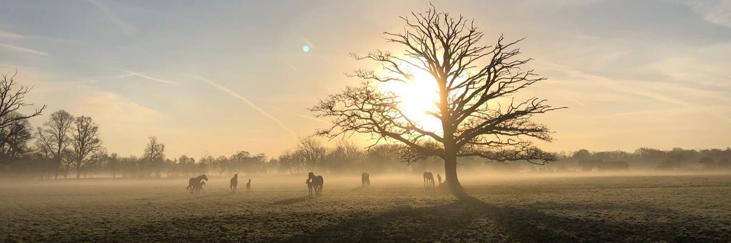 Brigitte Murphy banner
