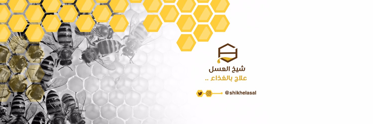 ShikhElasal's profile banner image