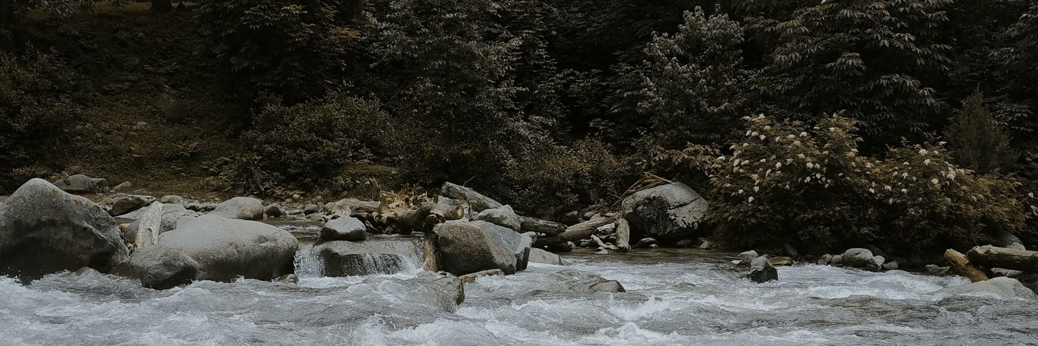 _Brady__'s profile banner image