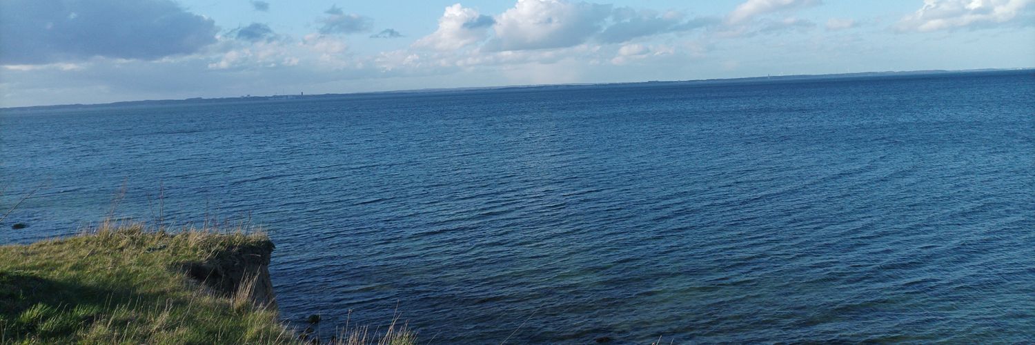 Tim / CEO of nice banner