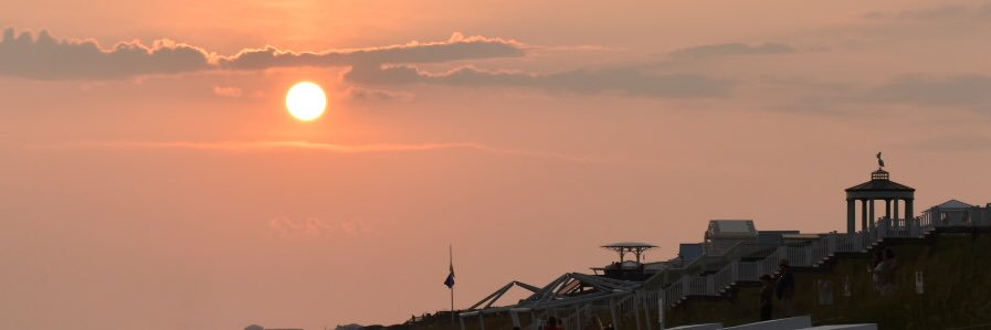 haydiebug15's profile banner image