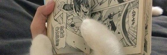 bbyhasi's profile banner image