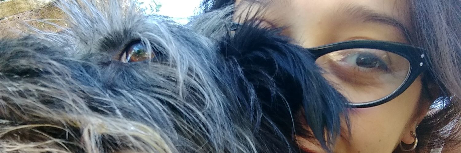 VaniFedele's profile banner image