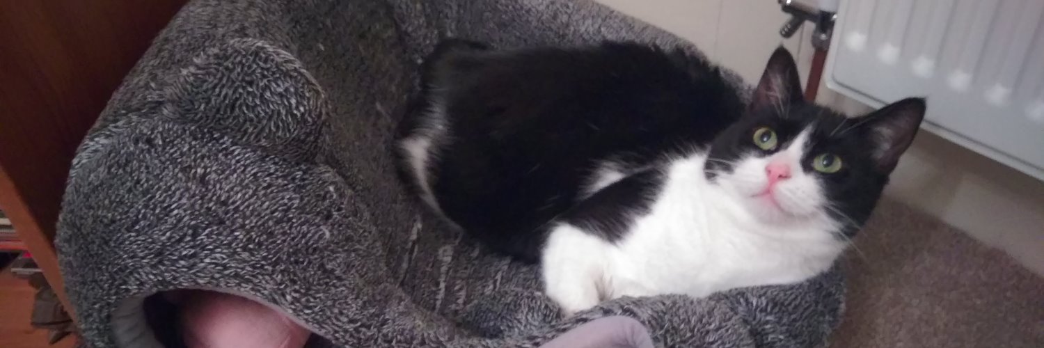 The cat account formerly known as Milmo banner