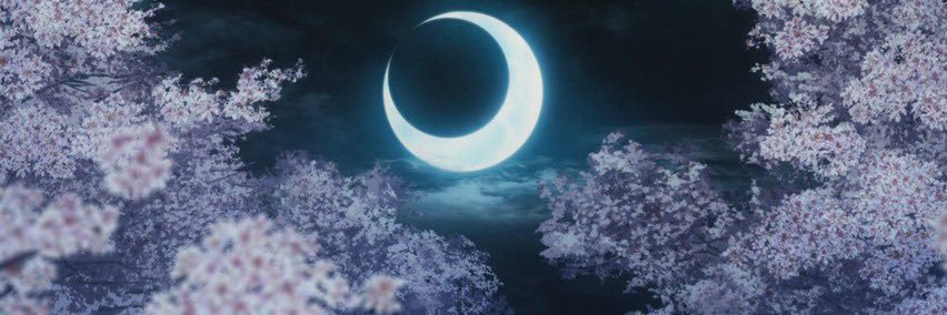 _terrqq's profile banner image