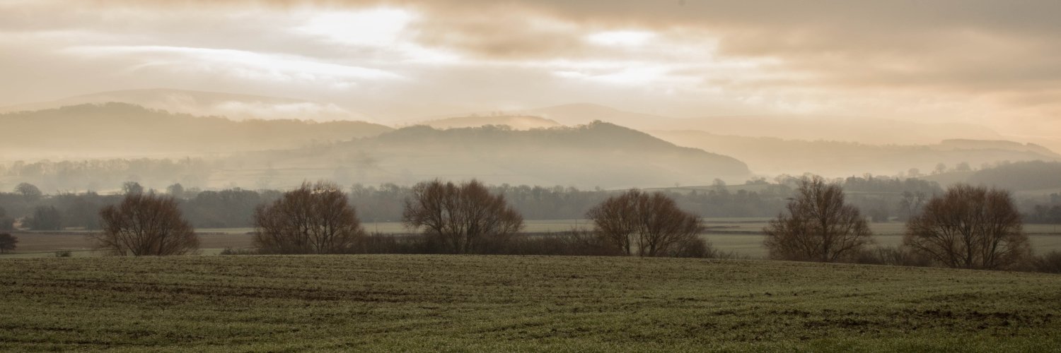 IreneCarter21's profile banner image