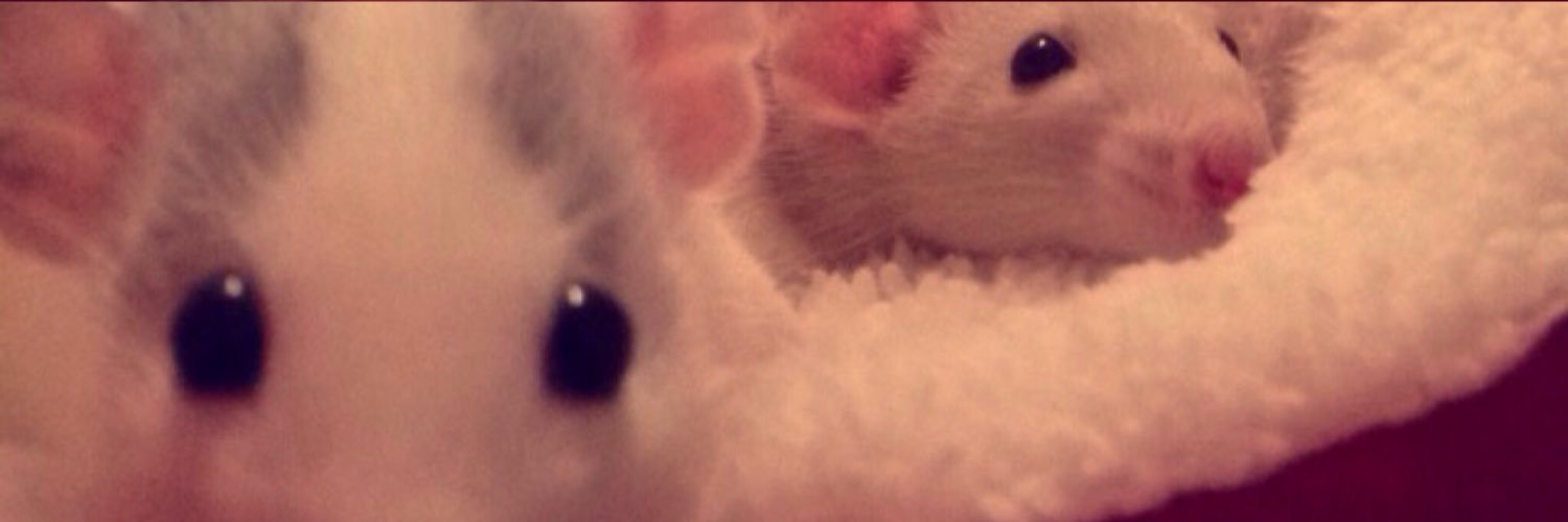 0hgosh's profile banner image
