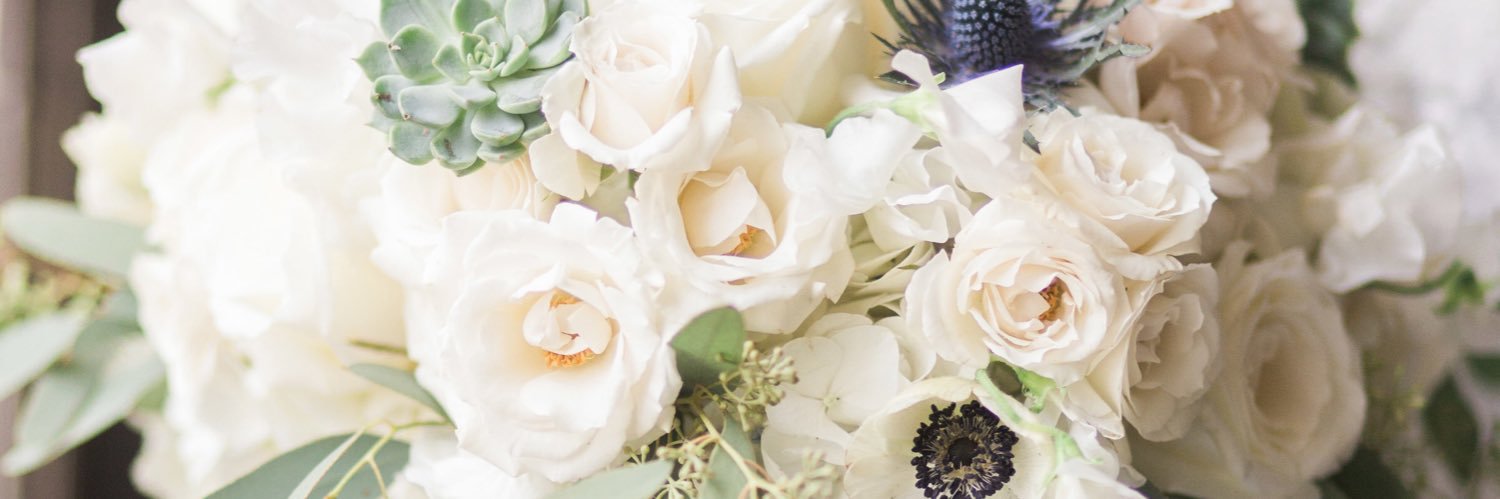 AllisonHoladay's profile banner image