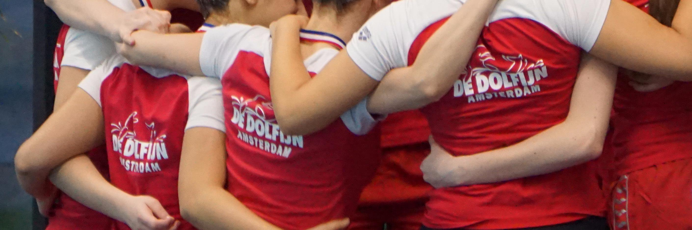 DeDolfijnSY's profile banner image