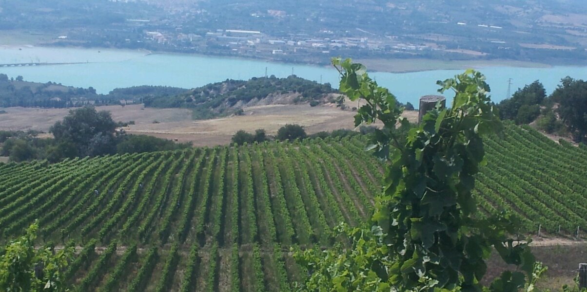 FabioMecca's profile banner image