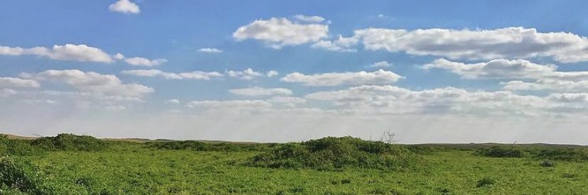 Mnif445g's profile banner image