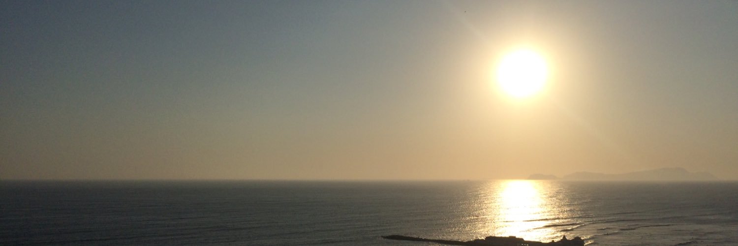 ansourianflor's profile banner image