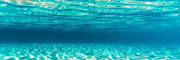 Alessandro (Cr-Alex96) banner