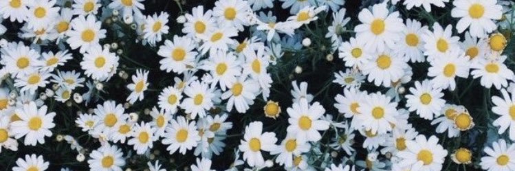 tay_marx's profile banner image