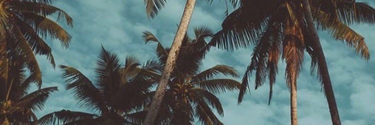 LaryCa_'s profile banner image