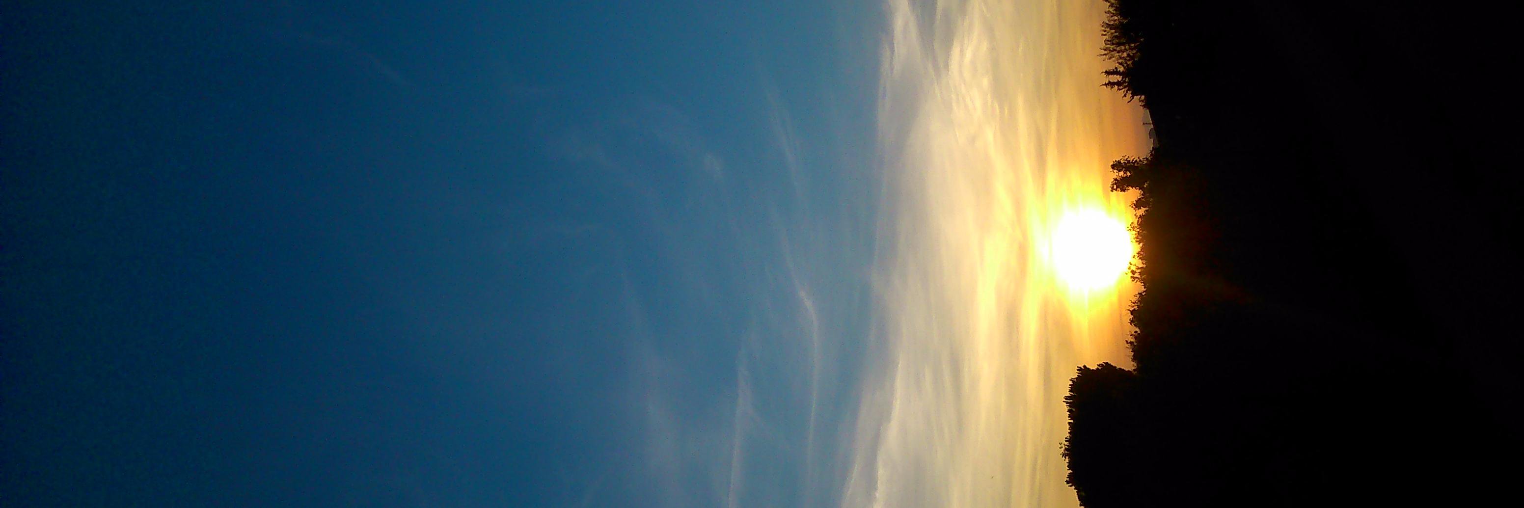 lola_2mm's profile banner image